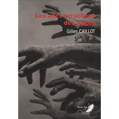 Les ailes arrachées des anges. Le cycle du mal : Tome 4