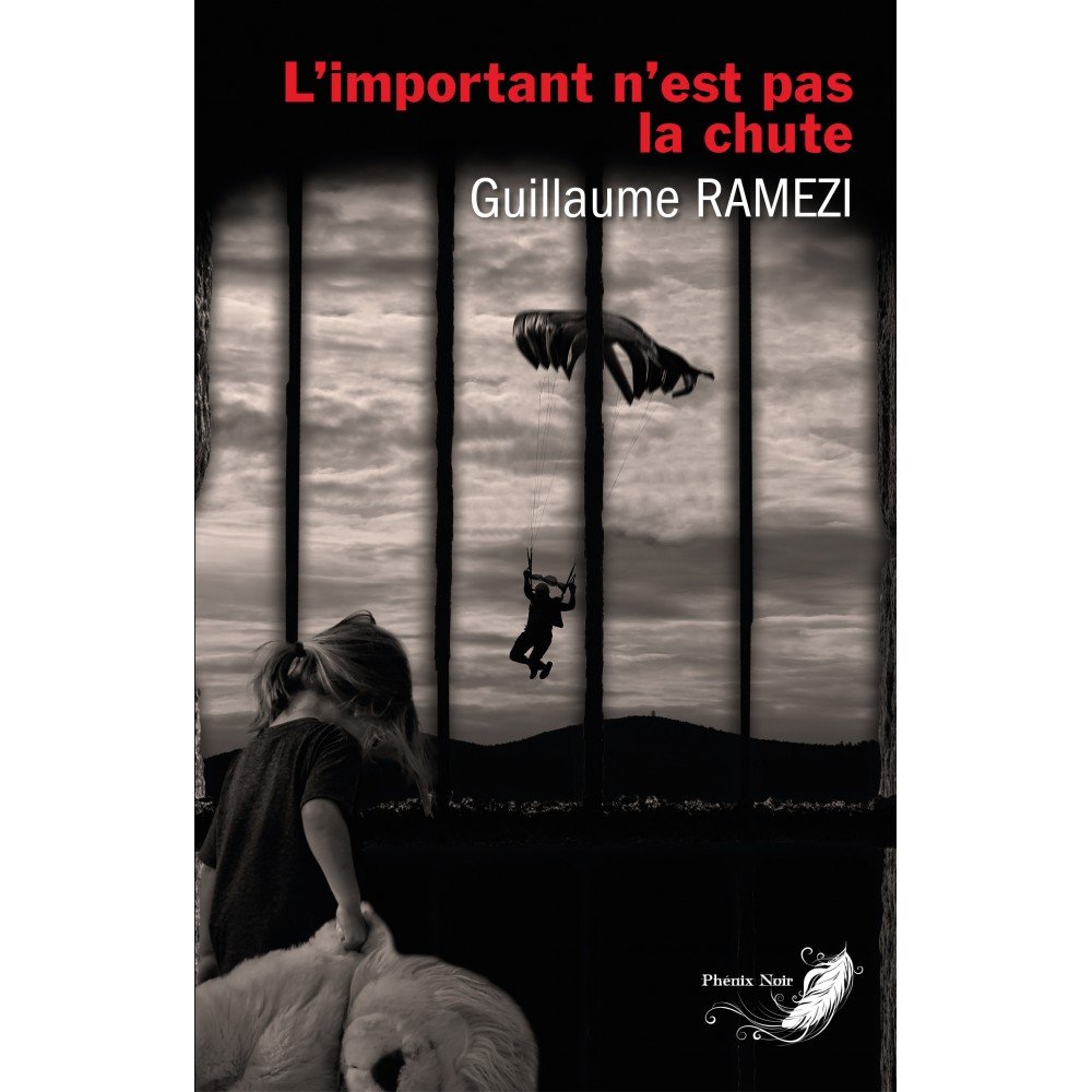 L'important n'est pas la chute L'important n'est pas la chute