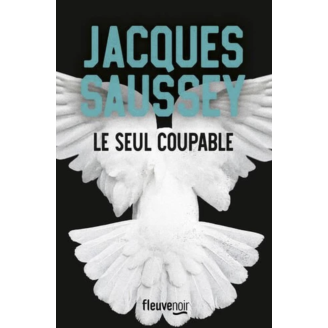 Le seul coupable