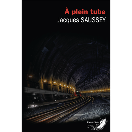 À plein tube (Nouvelle édition entièrement revue par l’auteur)